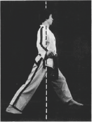 Narani Junbi Sogi