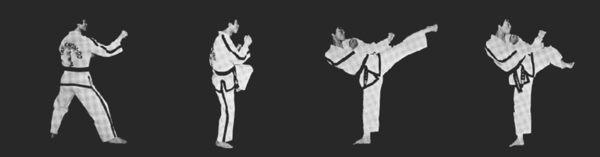 Ap Chagi