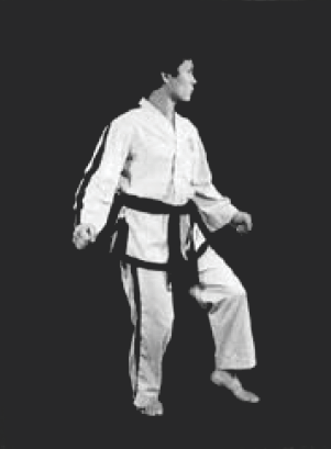 Narani Junbi Sogi