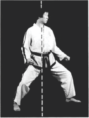 Narani Junbi Sogi