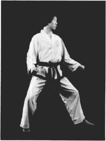 Narani Junbi Sogi